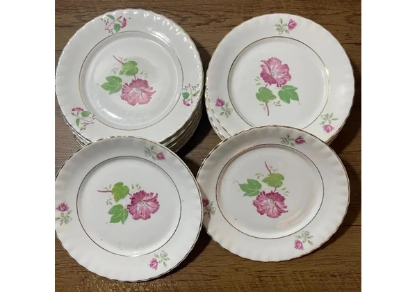 Jogo de porcelana Schmidt - Rio do testo (12 peças)