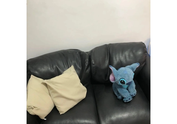 Sofá Couro Dois Lugares