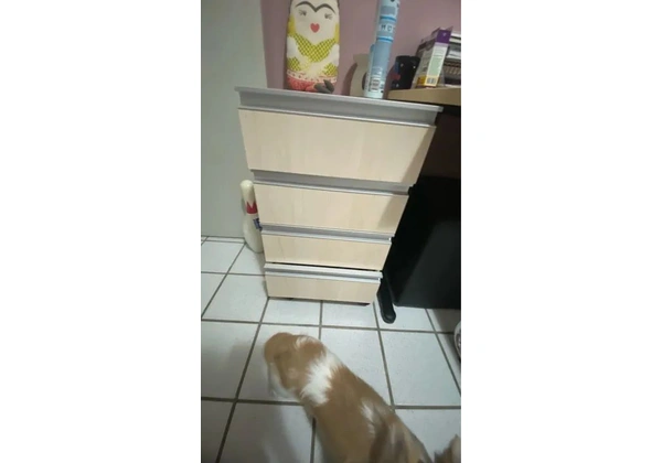 Mesa de escritório + armário 2 portas + gaveteiro Mareli