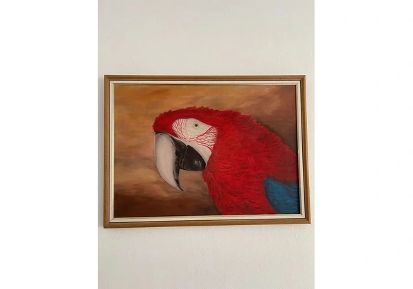 Quadro Arara Vermelha Pintura a óleo 77 x 57cm