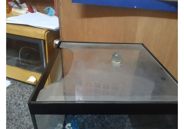 2 Aquários de Vidro para Peixes