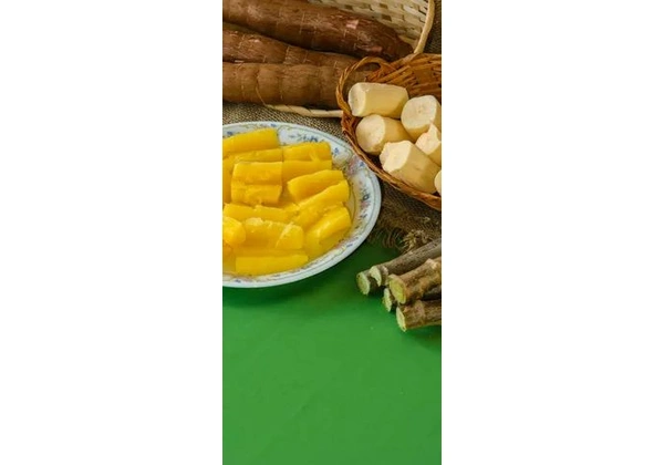Mudas de Mandioca Chips - Frita sem precisar cozinhar! RAMAS DE MANDIOCA (AIPIM) PARA MUDA