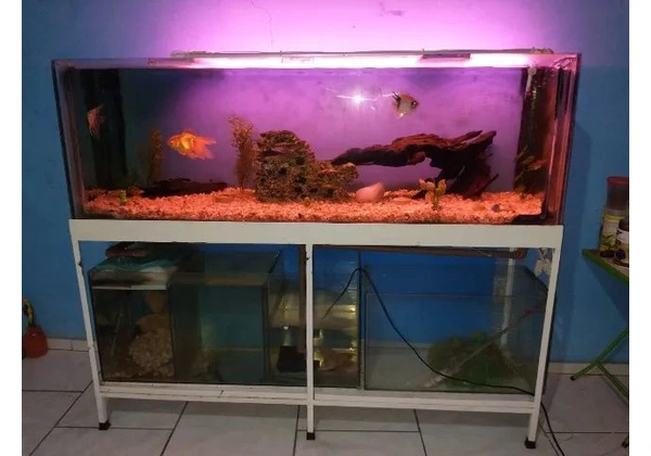 Aquário completo, aceito oferta .