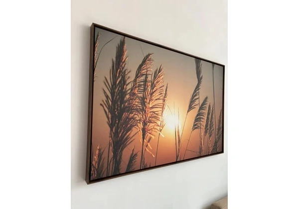 Quadro sem Uso
