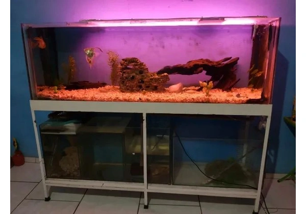 Aquário completo, aceito oferta .