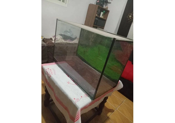 Aquário de 100 Litros com Decoração