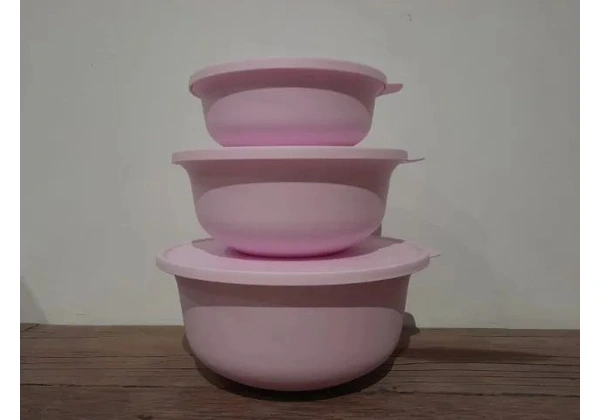 Vasilhas Tupperware (23 itens)