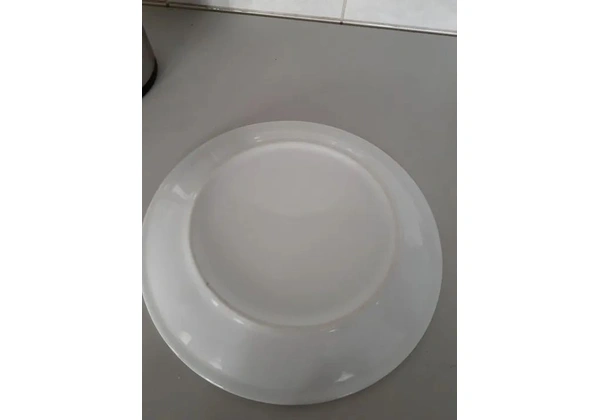 pratos rasos