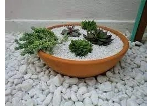 Seixo Rio branco pedras branca para jardins e paisagismo 15 kg *