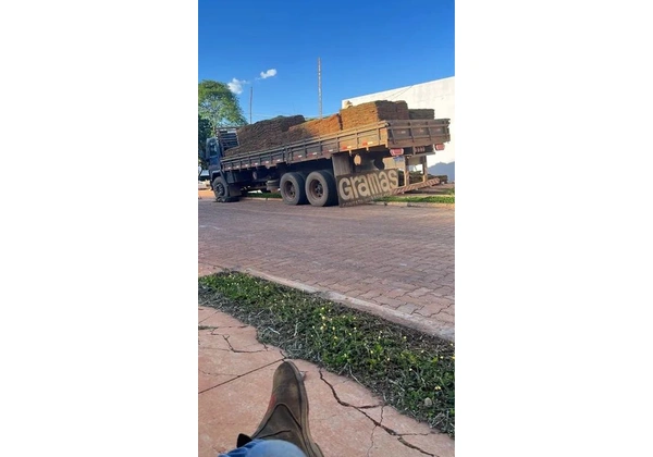 Venda e plantio de Grama