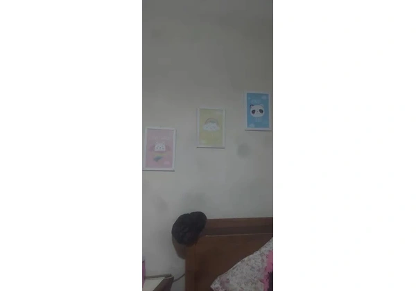 Kit 3 quadros novos