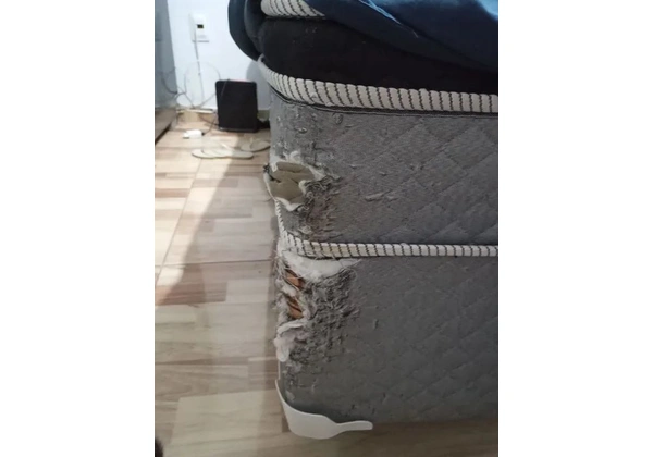 Cama Box Casal 138x188x59cm Prorelax