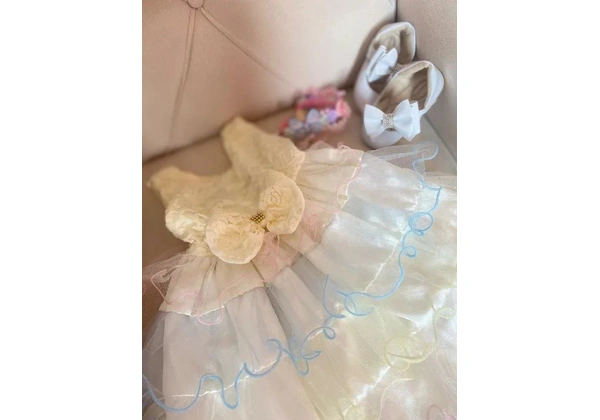Vestido Princesa seminovo