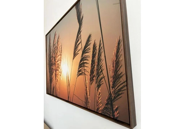 Quadro sem Uso