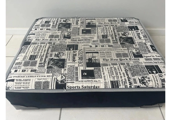Cama Box Pet Pouco usada