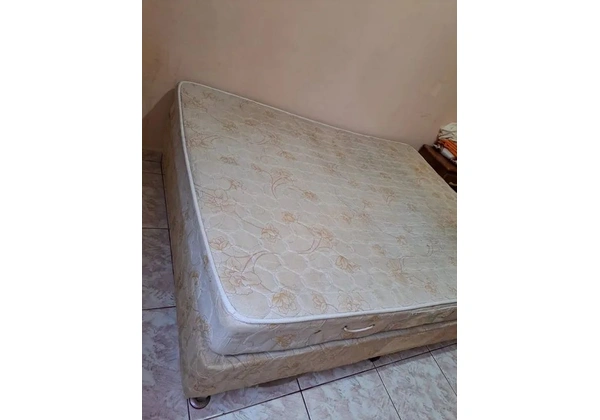 Cama box Castor