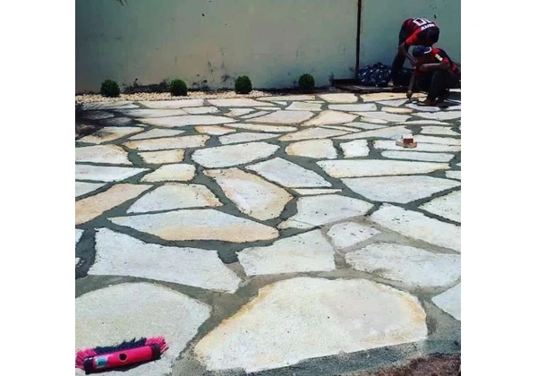 Jardineiro, paisagismo, jardinagem, plantas, grama, vasos e adubos