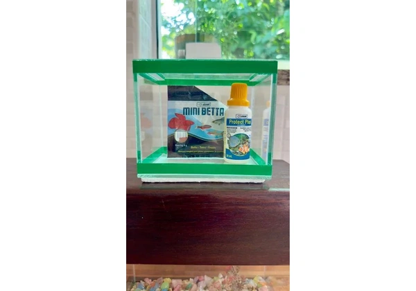 Kit de aquário com iluminação