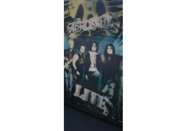 Quadro Aerosmith