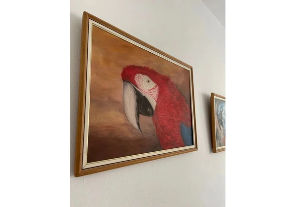 Quadro Arara Vermelha Pintura a óleo 77 x 57cm