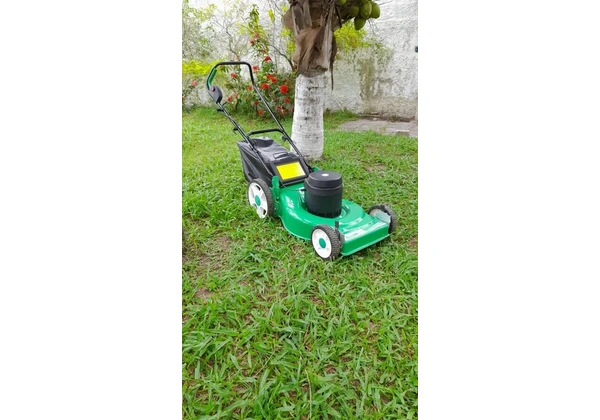 Carrinho cortador de grama, modelo grande.