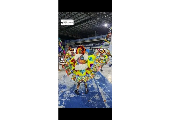Bate bola zorra total