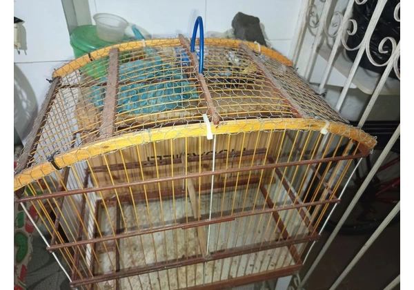 Gaiola grande