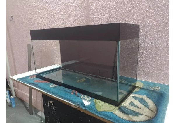 Aquário