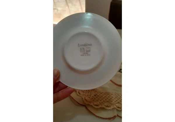 Jogo de jantar de Porcelana 18 peças coleção antiga