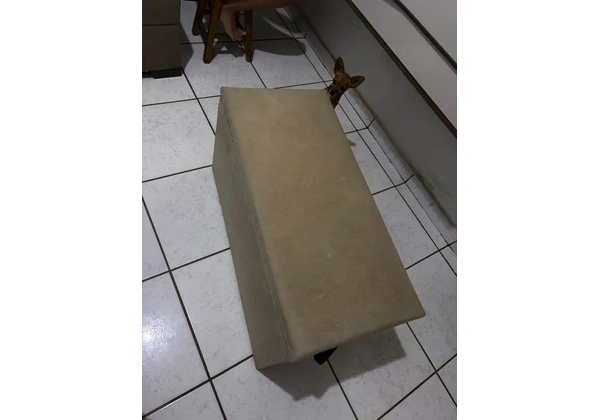 Bau Organizador Caixa