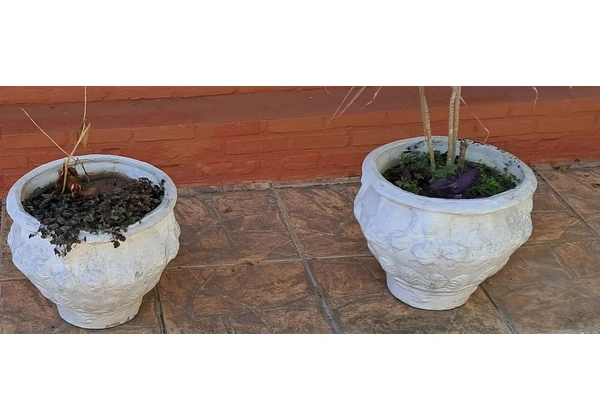 Vasos de concreto