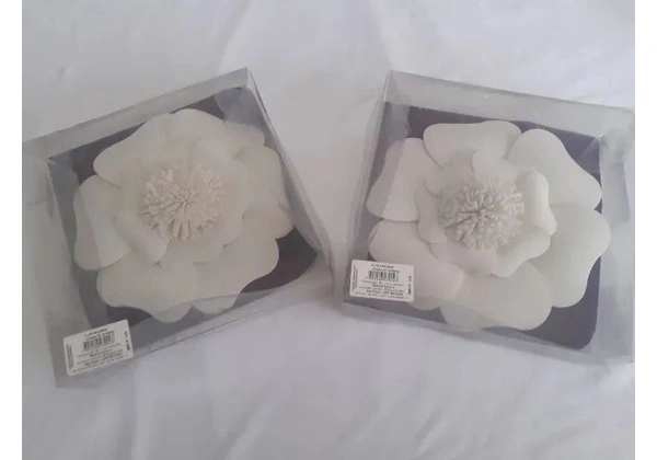 Flor Eva Para Decoração