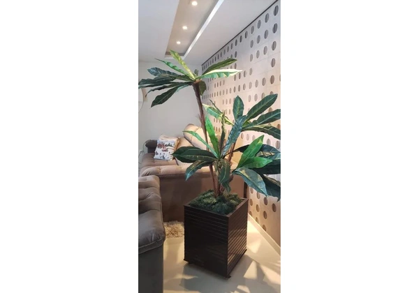 Cachepô para decorar seu ambiente