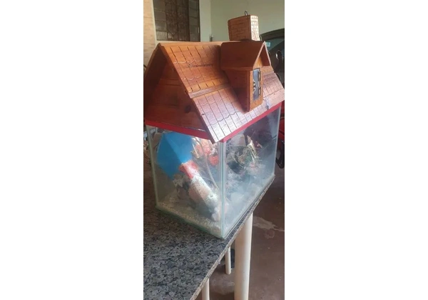 Aquário 70, 00