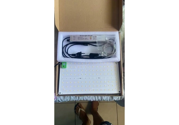 Lâmpada cultivo quantum board