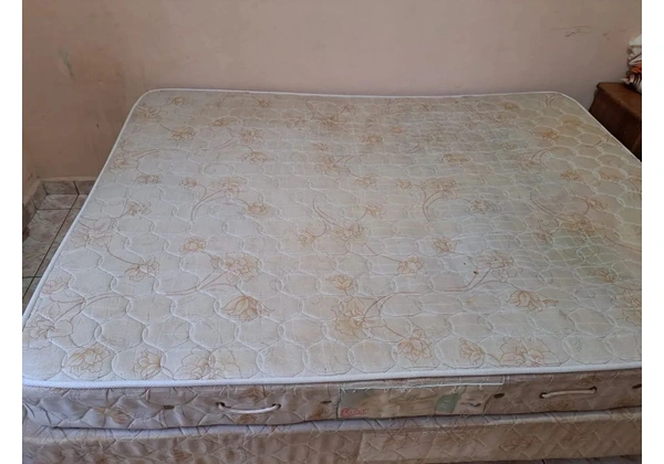 Cama box Castor