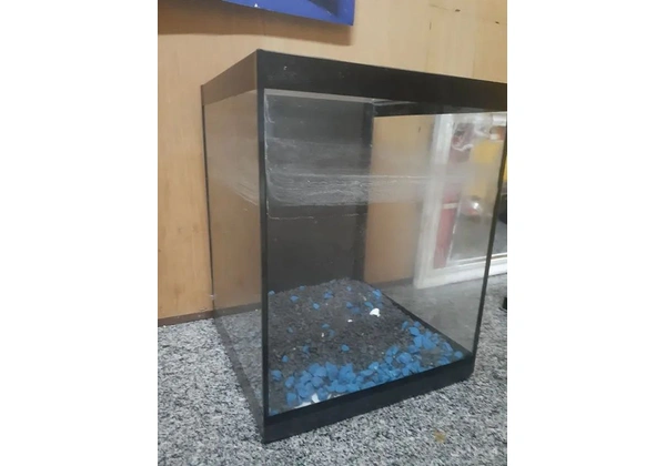 2 Aquários de Vidro para Peixes