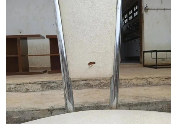 Cadeira de jantar estofada fixa s/ braços Carraro em Aço / Couro Ecológico Branco