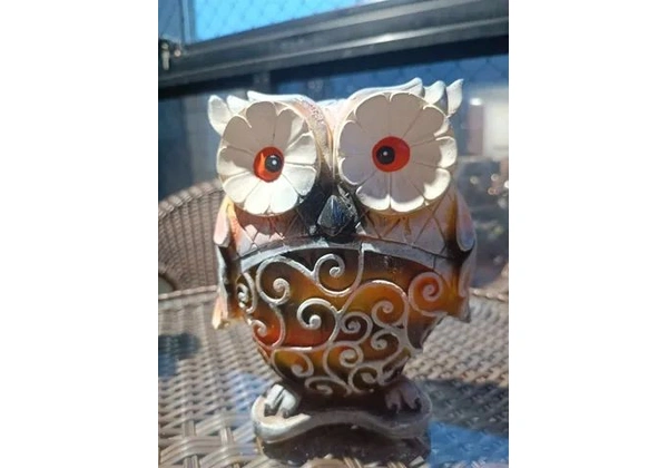 Coruja em gesso $80