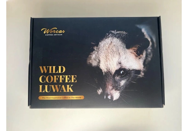Café mais caro do mundo - Luwak wild coffee