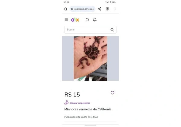 Minhocas verm da Califórnia 200 por 45, 00