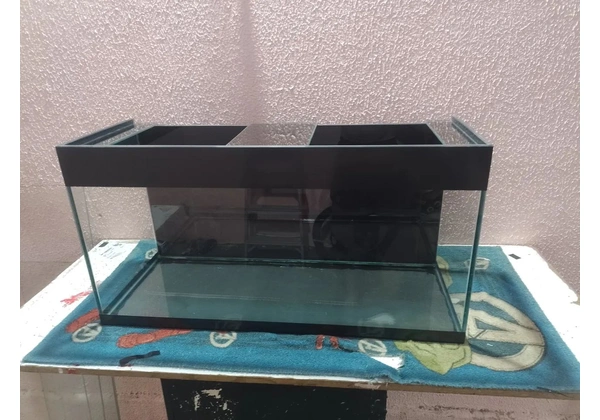 Aquário
