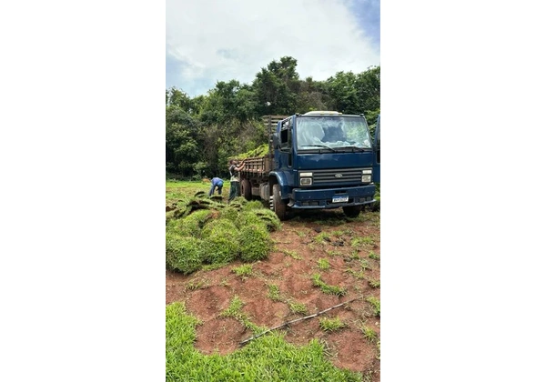 Venda e plantio de Grama