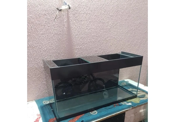 Aquário