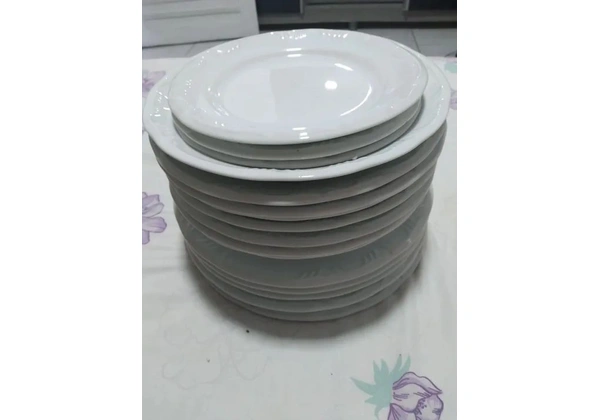 16 Pratos de Porcelana Schmidt