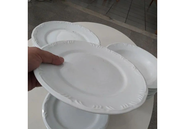 16 Pratos de Porcelana Schmidt