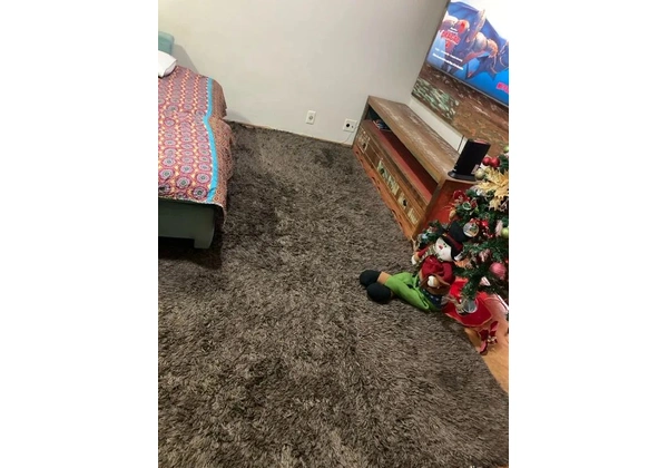Tapete Para Sala de Estar 2, 00x3, 00 Balé