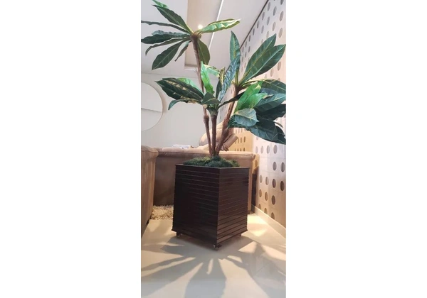 Cachepô para decorar seu ambiente