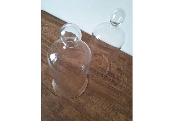 Cúpula de Vidro R$ 100 as 2 peças