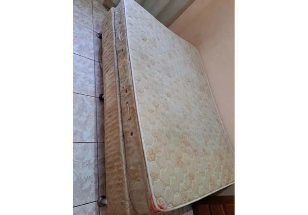 Cama box Castor